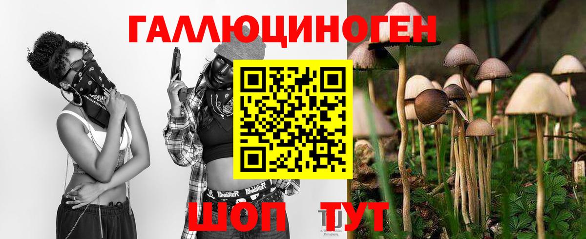 Вятские Поляны  Псилоцибиновые грибы мицелий  Вход с VPN 