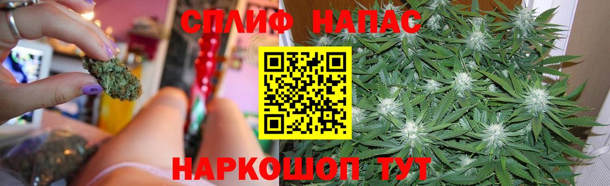 Бошки Шишки планчик Вятские Поляны